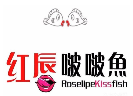 山东道丰年餐饮管理有限公司logo图