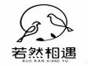 必普电子商务集团股份有限公司logo图