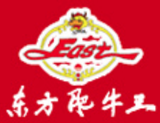 山东红日东方投资管理有限公司logo图